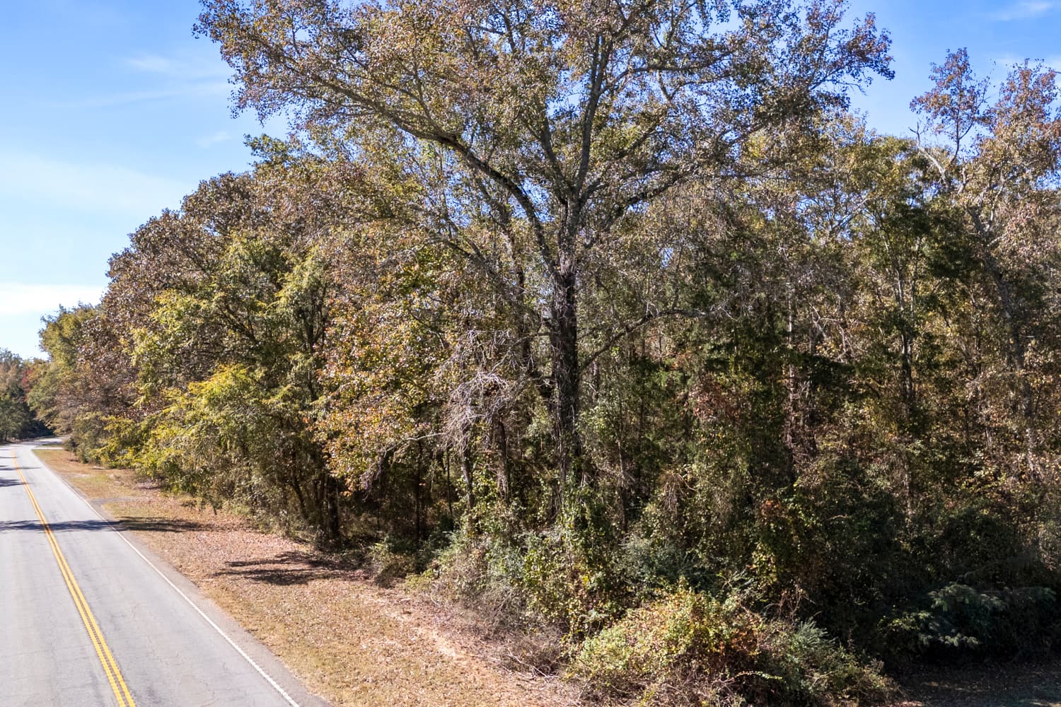 8 Acres Land- HWY 29- Near Lake Hartwell- No Zoning photo 14