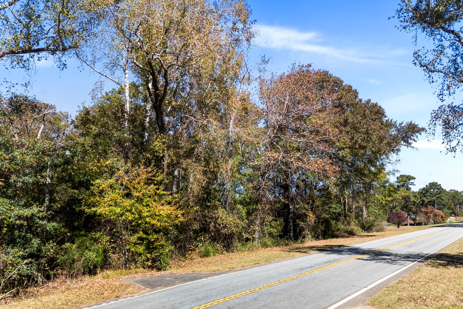 8 Acres Land- HWY 29- Near Lake Hartwell- No Zoning photo 4